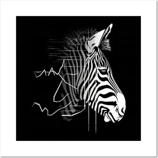 Zebra Eco-tourism Impact Posters and Art